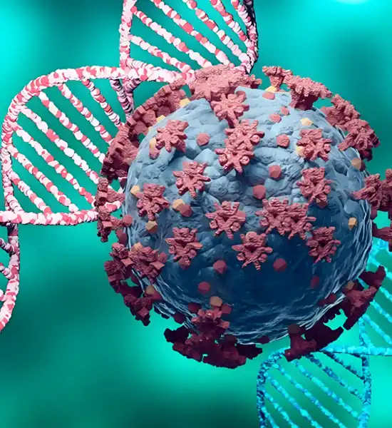 GS-441524 Injection use | Shaanxi BLOOM Tech Co., Ltd GS-441524 Injection use | Shaanxi BLOOM Tech Co., Ltd