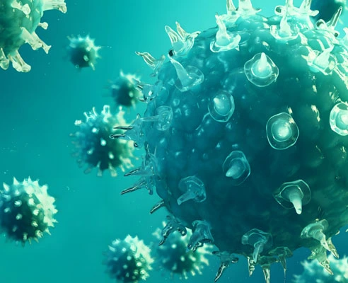 GS-441524 Fip use | Shaanxi BLOOM Tech Co., Ltd GS-441524 Fip use | Shaanxi BLOOM Tech Co., Ltd