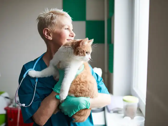 GS-441524 buy | Shaanxi BLOOM Tech Co., Ltd GS-441524 buy | Shaanxi BLOOM Tech Co., Ltd