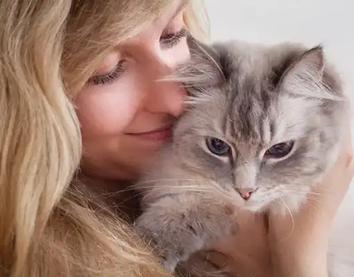 GS-441524 cost | Shaanxi BLOOM Tech Co., Ltd GS-441524 cost | Shaanxi BLOOM Tech Co., Ltd