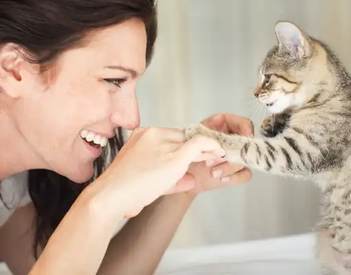 fip treatment | Shaanxi BLOOM Tech Co., Ltd fip treatment | Shaanxi BLOOM Tech Co., Ltd