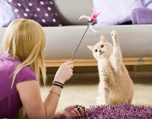 GS-441524 Fip | Shaanxi BLOOM Tech Co., Ltd GS-441524 Fip | Shaanxi BLOOM Tech Co., Ltd