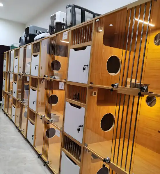 gs 441524 order | Shaanxi BLOOM Tech Co., Ltd gs 441524 order | Shaanxi BLOOM Tech Co., Ltd