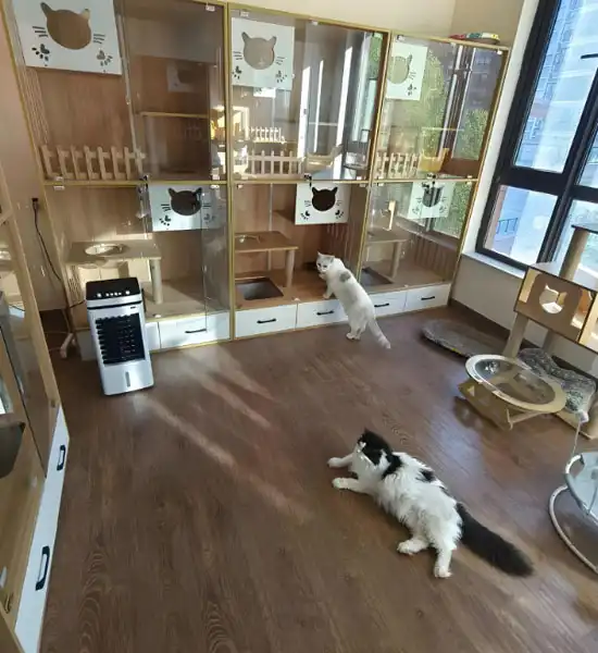 gs 441524 purchase | Shaanxi BLOOM Tech Co., Ltd gs 441524 purchase | Shaanxi BLOOM Tech Co., Ltd