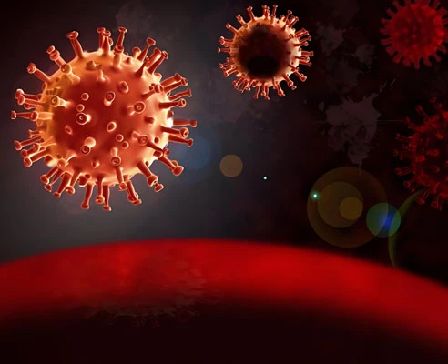 gs 441524 oral | Shaanxi BLOOM Tech Co., Ltd gs 441524 oral | Shaanxi BLOOM Tech Co., Ltd