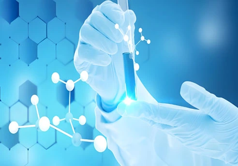 gs 441524 cost | Shaanxi BLOOM Tech Co., Ltd gs 441524 cost | Shaanxi BLOOM Tech Co., Ltd