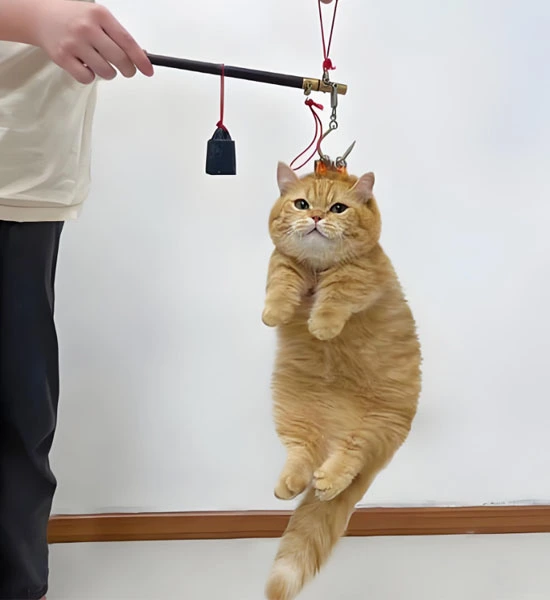 GS-441524 Fip for sale | Shaanxi BLOOM Tech Co., Ltd GS-441524 Fip for sale | Shaanxi BLOOM Tech Co., Ltd