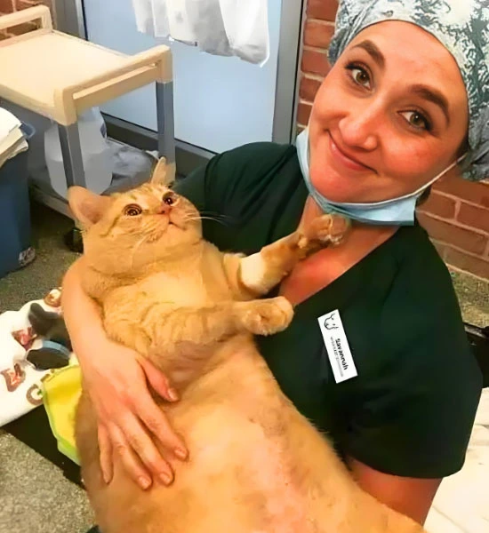 fip treatment | Shaanxi BLOOM Tech Co., Ltd fip treatment | Shaanxi BLOOM Tech Co., Ltd