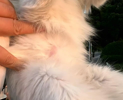 gs 441524 for fip | Shaanxi BLOOM Tech Co., Ltd gs 441524 for fip | Shaanxi BLOOM Tech Co., Ltd