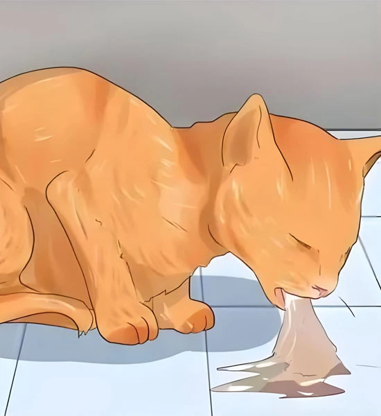 gs 441524 buy | Shaanxi BLOOM Tech Co., Ltd gs 441524 buy | Shaanxi BLOOM Tech Co., Ltd