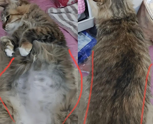 gs 441524 price | Shaanxi BLOOM Tech Co., Ltd gs 441524 price | Shaanxi BLOOM Tech Co., Ltd