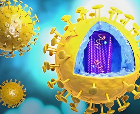 gs 441524 treatment | Shaanxi BLOOM Tech Co., Ltd gs 441524 treatment | Shaanxi BLOOM Tech Co., Ltd