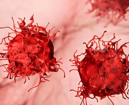 GS-441524 Fip use| Shaanxi BLOOM Tech Co., Ltd GS-441524 Fip use| Shaanxi BLOOM Tech Co., Ltd