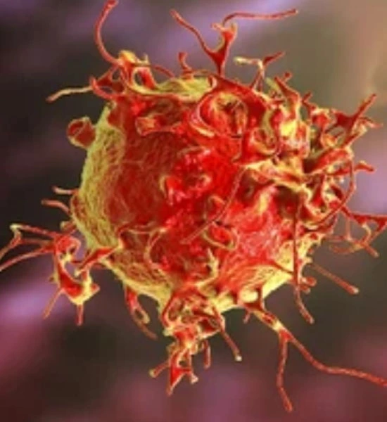 gs 441524 drug | Shaanxi BLOOM Tech Co., Ltd gs 441524 drug | Shaanxi BLOOM Tech Co., Ltd