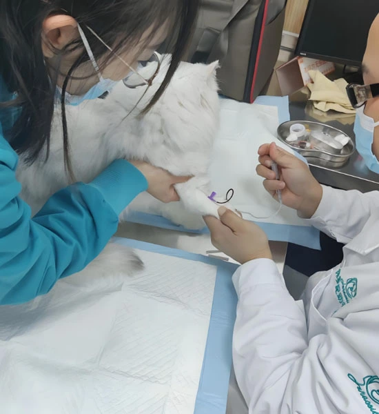 gs 441524 fip | Shaanxi BLOOM Tech Co., Ltd gs 441524 fip | Shaanxi BLOOM Tech Co., Ltd