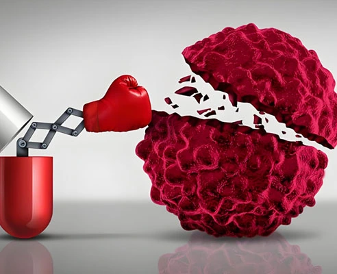 GS-441524 Fip use | Shaanxi BLOOM Tech Co., Ltd GS-441524 Fip use | Shaanxi BLOOM Tech Co., Ltd