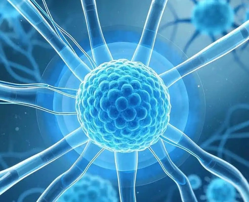 gs 441524 oral | Shaanxi BLOOM Tech Co., Ltd gs 441524 oral | Shaanxi BLOOM Tech Co., Ltd