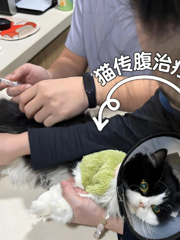 gs 44152 oral | Shaanxi BLOOM Tech Co., Ltd gs 44152 oral | Shaanxi BLOOM Tech Co., Ltd