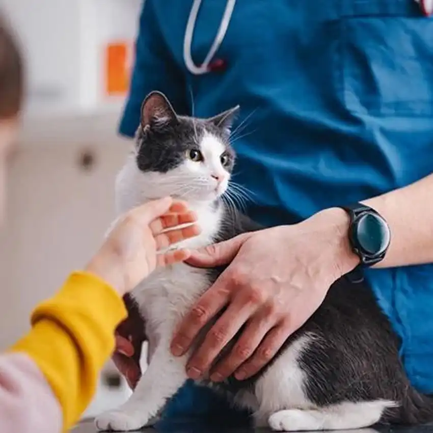 gs 441524 price | Shaanxi BLOOM Tech Co., Ltd gs 441524 price | Shaanxi BLOOM Tech Co., Ltd