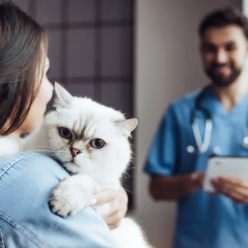 gs 441524 for fip | Shaanxi BLOOM Tech Co., Ltd gs 441524 for fip | Shaanxi BLOOM Tech Co., Ltd