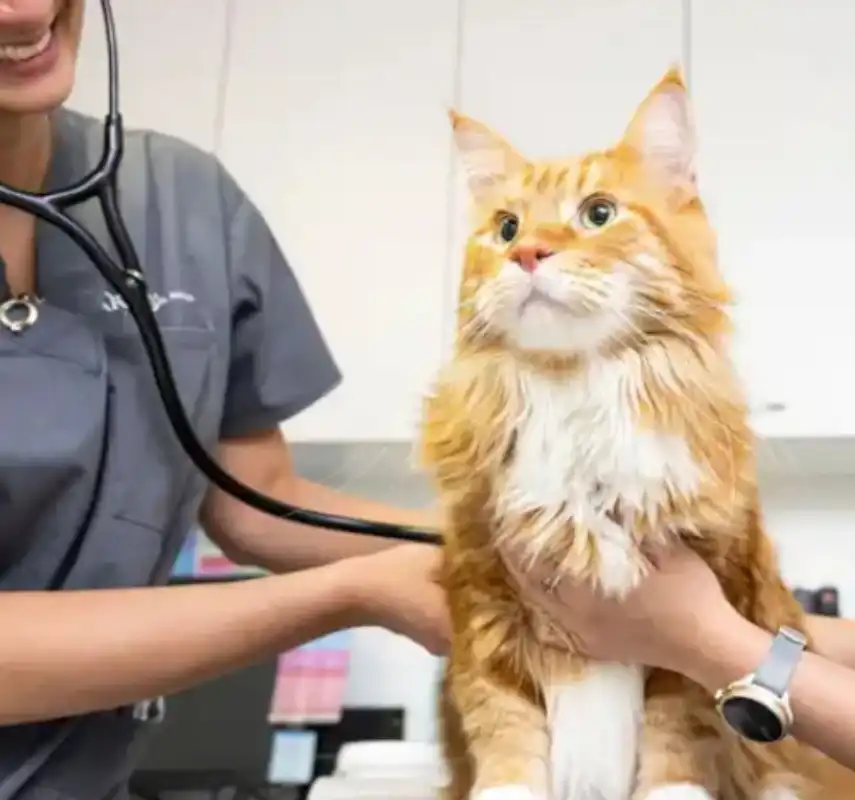 gs 441524 purchase | Shaanxi BLOOM Tech Co., Ltd gs 441524 purchase | Shaanxi BLOOM Tech Co., Ltd