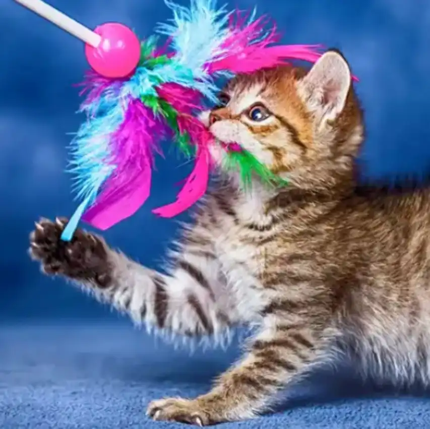 GS-441524 Injection Treatment | Shaanxi BLOOM Tech Co., Ltd GS-441524 Injection Treatment | Shaanxi BLOOM Tech Co., Ltd