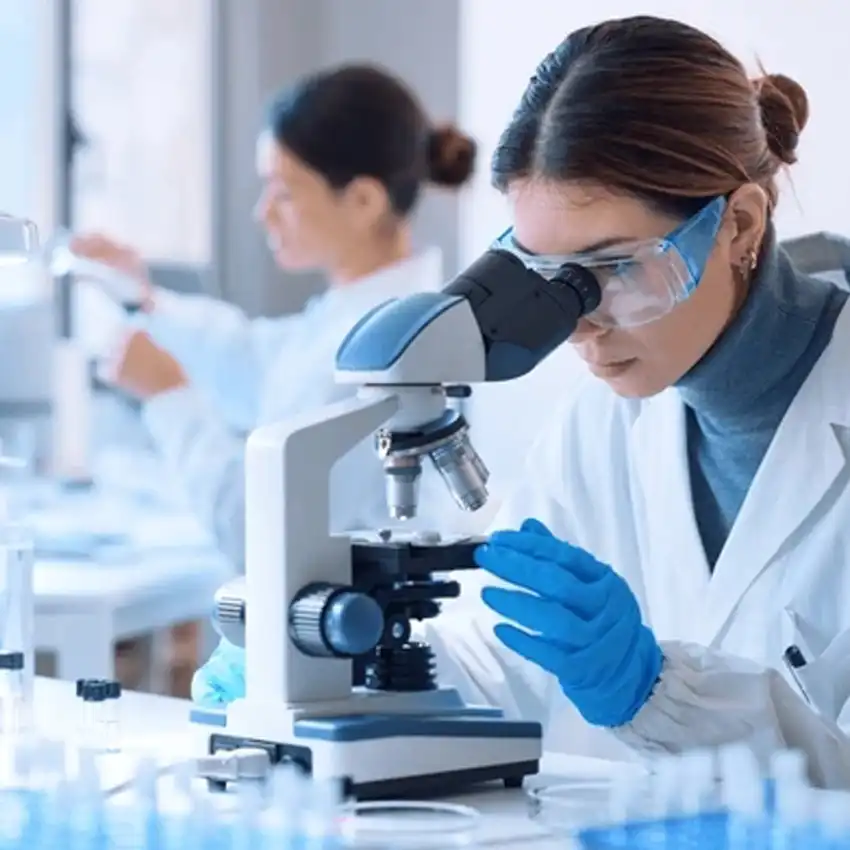 free cat fip treatment | Shaanxi BLOOM Tech Co., Ltd free cat fip treatment | Shaanxi BLOOM Tech Co., Ltd