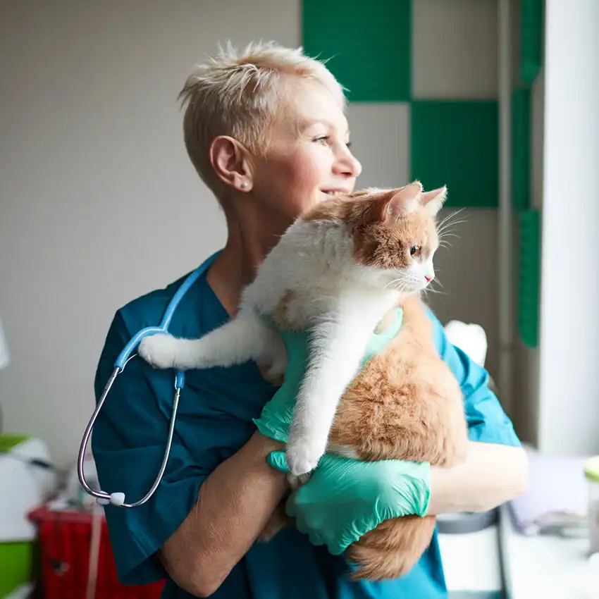 gs 441524 buy | Shaanxi BLOOM Tech Co., Ltd gs 441524 buy | Shaanxi BLOOM Tech Co., Ltd