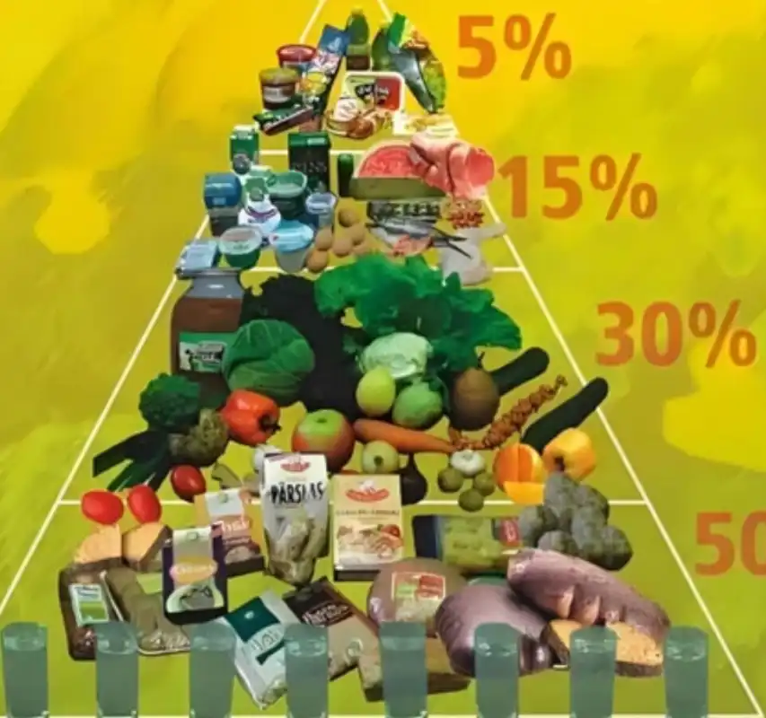 GS-441524 Tablets Application | Shaanxi BLOOM Tech Co., Ltd GS-441524 Tablets Application | Shaanxi BLOOM Tech Co., Ltd