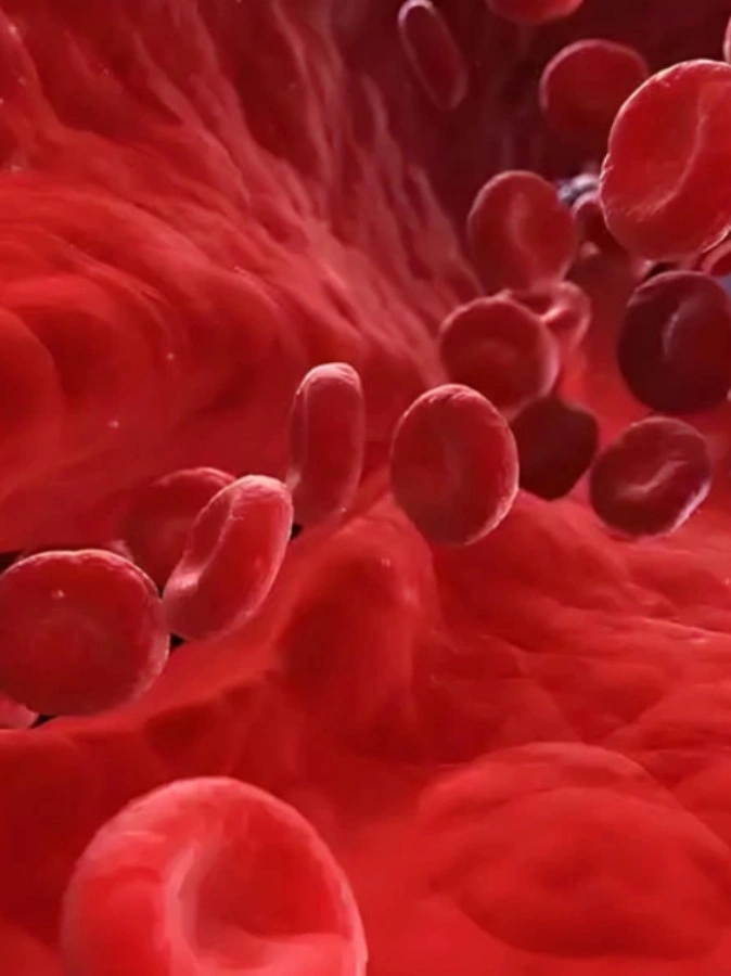 gs 441524 precio | Shaanxi BLOOM Tech Co., Ltd gs 441524 precio | Shaanxi BLOOM Tech Co., Ltd